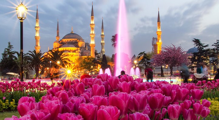 Tulips from Turkey to the World