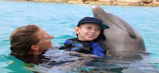 Dolphin Show & Therapy for Disabled