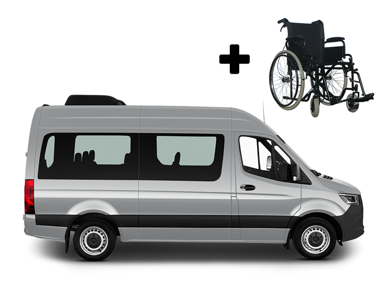 wheelchair accessible cars